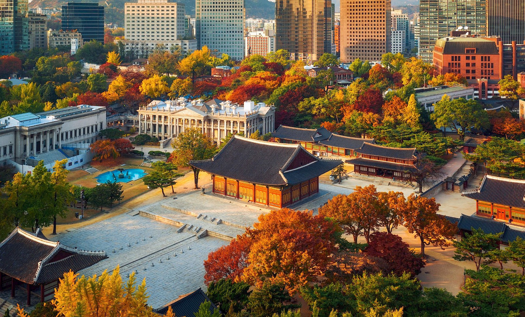 Building the future Korea in the new world order