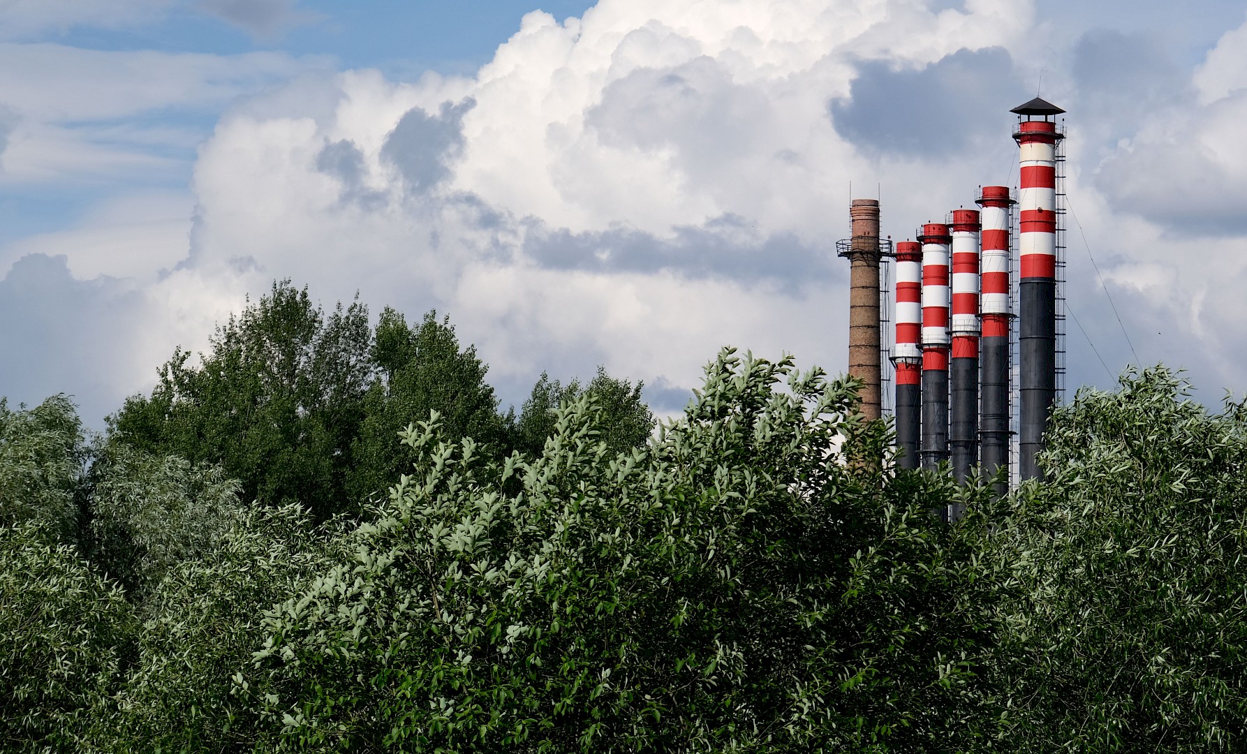 Transforming industrial waste into global green construction through scaling green cement and cement-free solutions