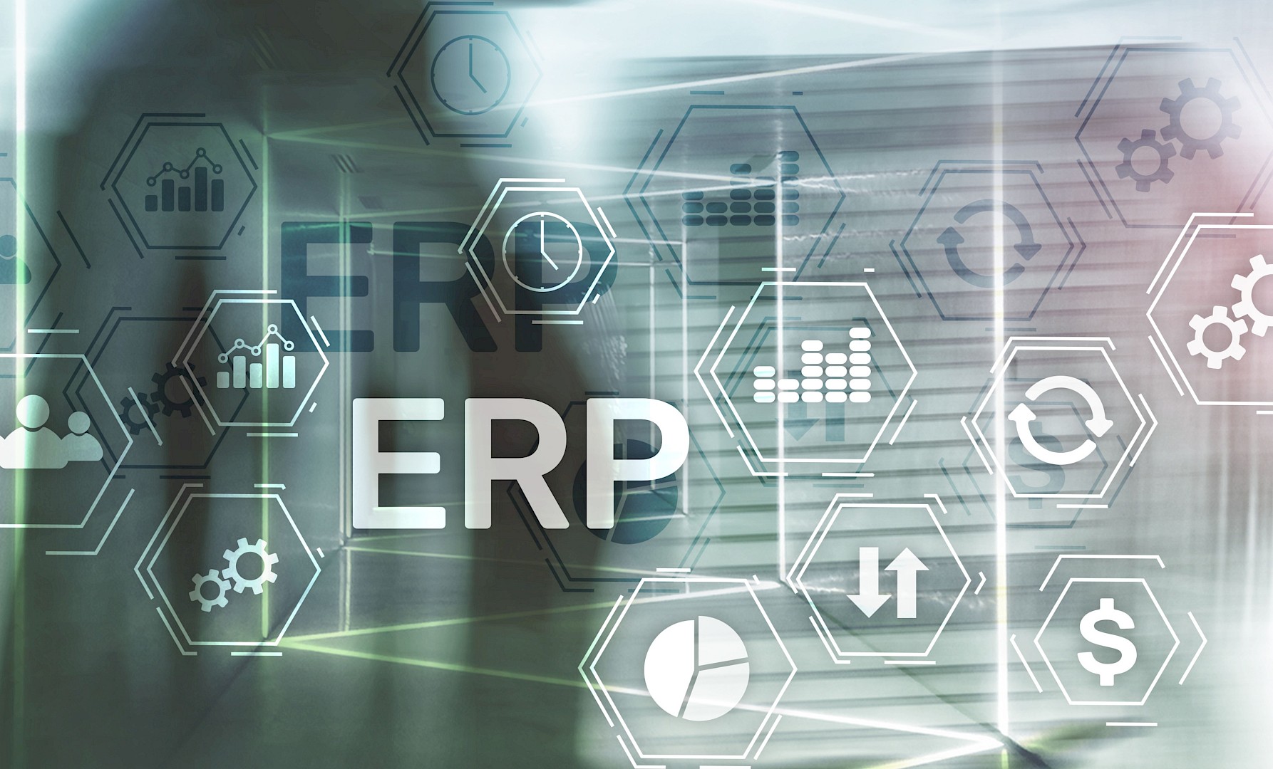 Driving a successful ERP program with a balanced focus on internal development and system implementation