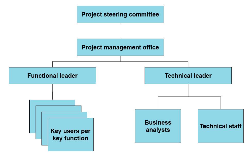 Figure 3 - ERP program team setup